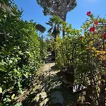 Il Sole In Terrazza - A Due Passi Dal Mare - Private Garden And Parking Daire *