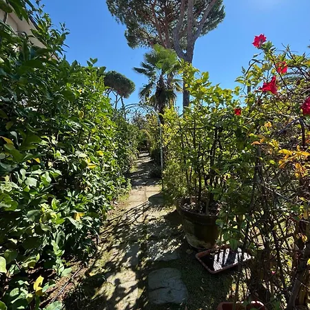 Il Sole In Terrazza - A Due Passi Dal Mare - Private Garden And Parking Daire *