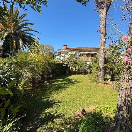 Daire Il Sole In Terrazza - A Due Passi Dal Mare - Private Garden And Parking Cinquale